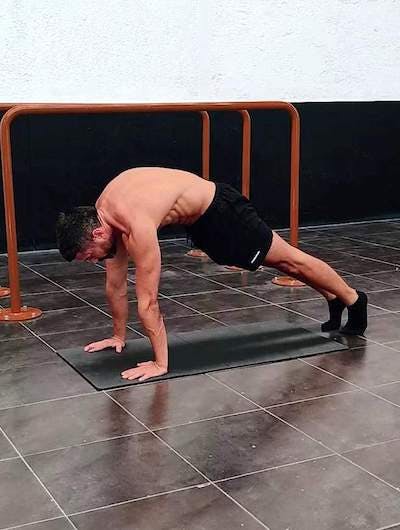 Abdominal plank with spinal flexion