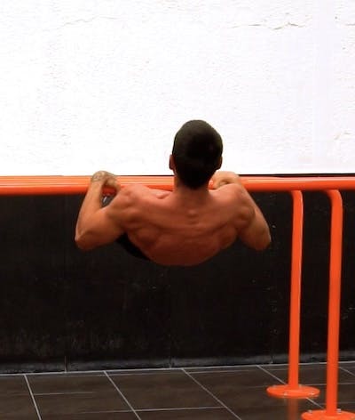 Front lever pull ups