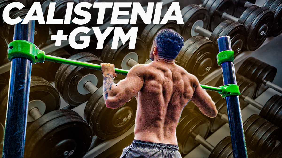 How to combine Calisthenics and Gym weigh training post cover
